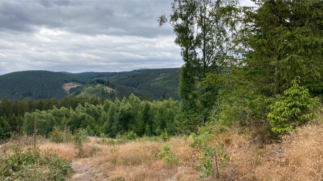 Wanderung um Engelsbach mit Blick zum Inselsberg im Thüringer Wald
